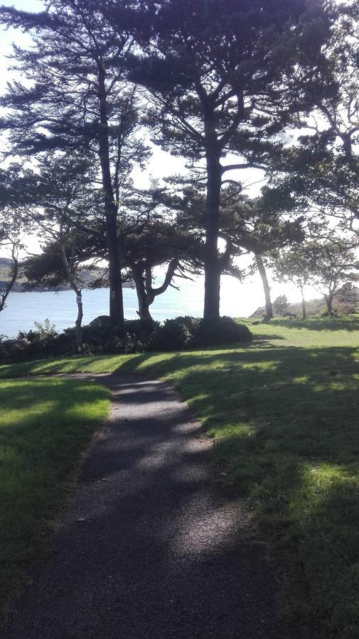 The Dell Dublin Bed & Breakfast Dun Laoghaire Exterior foto
